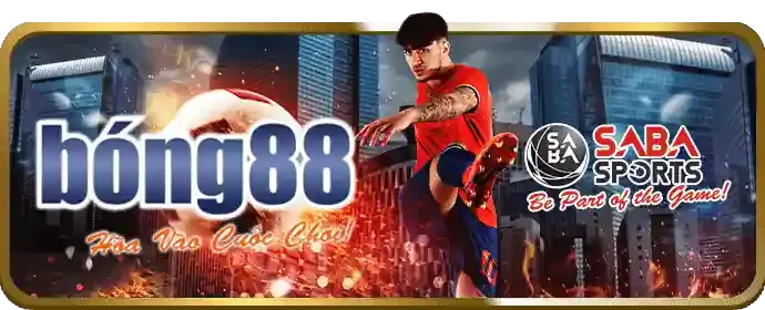 Cá cược thể thao 67win trên di động