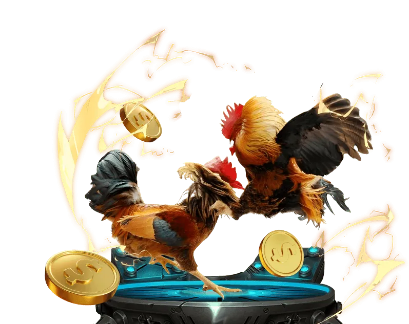 Khuyến mãi đá gà